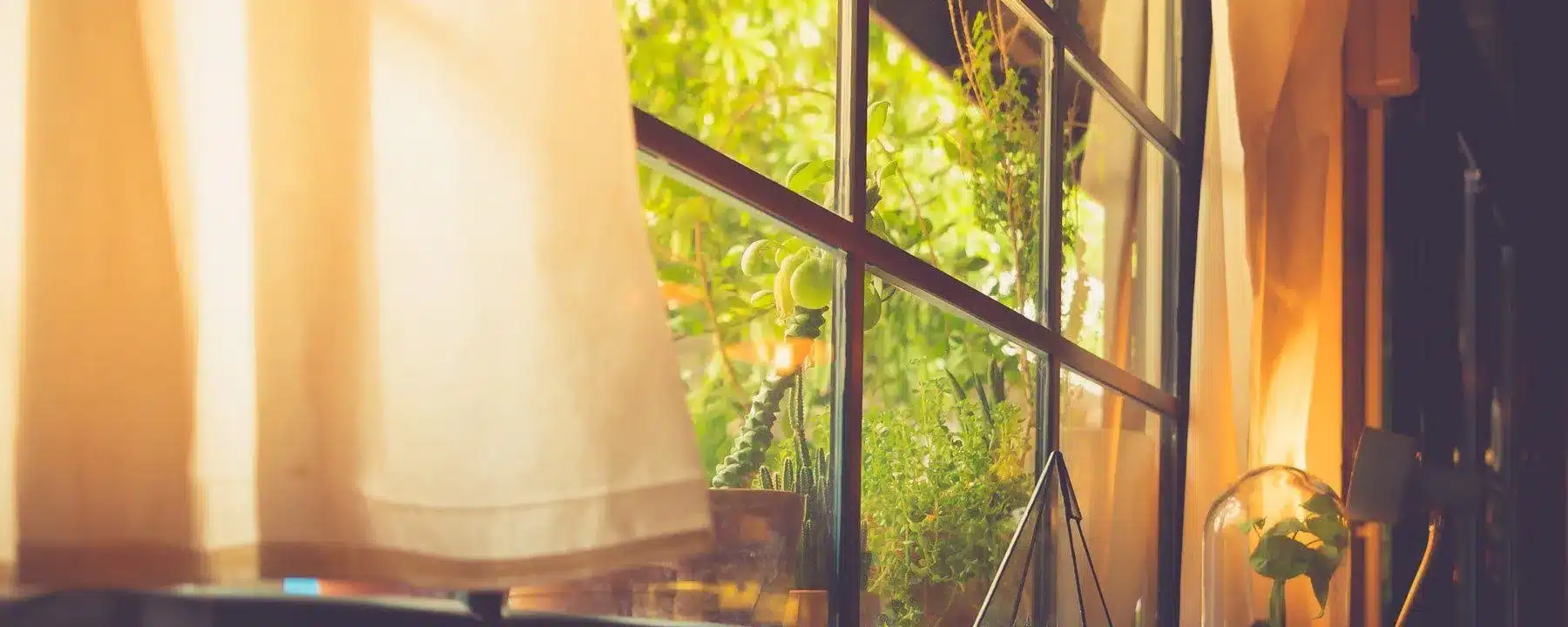 A warm view of a cottage window with foliage outside